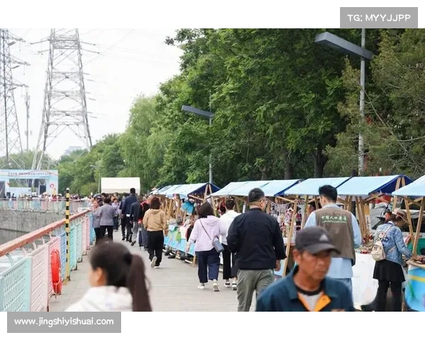 全面优化赛事发展环境构建高效赛事生态系统促进持久繁荣