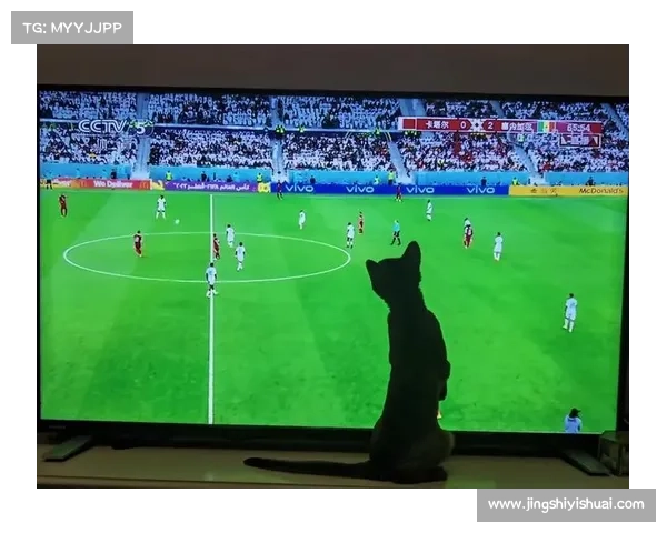 埃及足球历史赛事-埃及足球历史最佳阵容